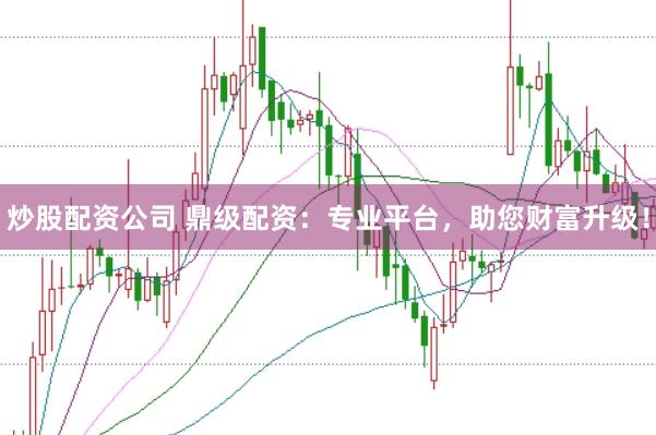 炒股配资公司 鼎级配资：专业平台，助您财富升级！
