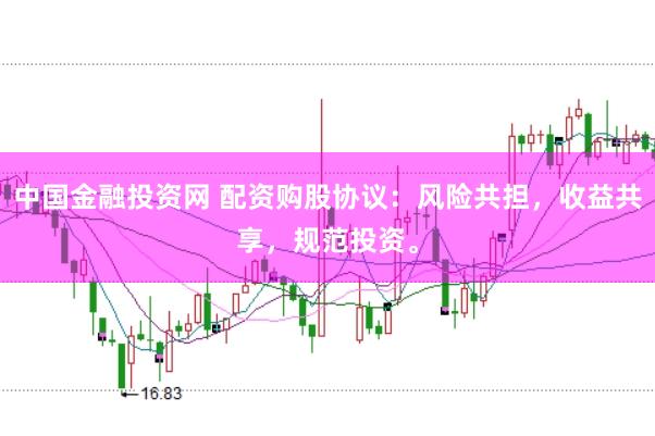 中国金融投资网 配资购股协议：风险共担，收益共享，规范投资。