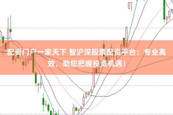 配资门户一家天下 智沪深股票配资平台：专业高效，助您把握投资机遇！