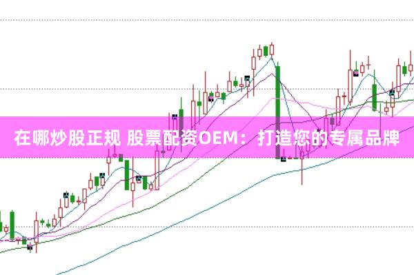 在哪炒股正规 股票配资OEM：打造您的专属品牌