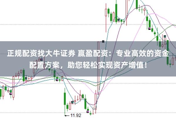 正规配资找大牛证券 赢盈配资：专业高效的资金配置方案，助您轻松实现资产增值！