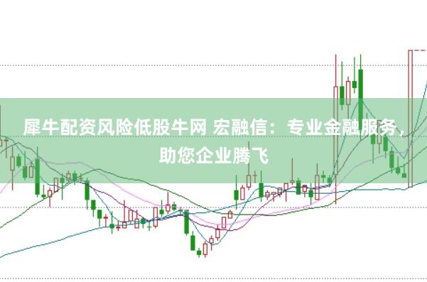 犀牛配资风险低股牛网 宏融信：专业金融服务，助您企业腾飞
