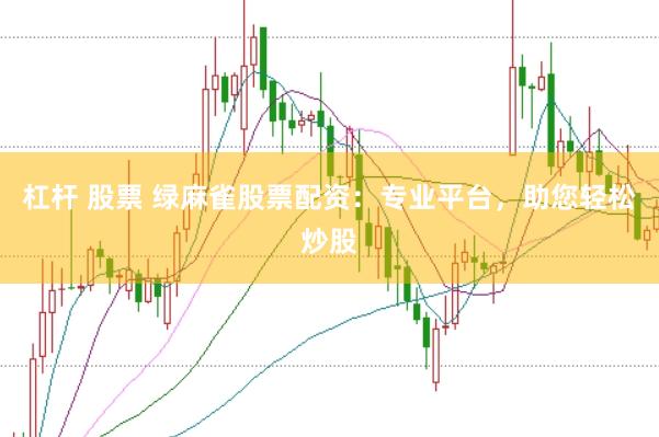 杠杆 股票 绿麻雀股票配资：专业平台，助您轻松炒股