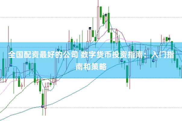 全国配资最好的公司 数字货币投资指南：入门指南和策略
