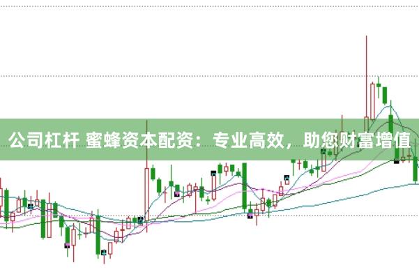 公司杠杆 蜜蜂资本配资：专业高效，助您财富增值