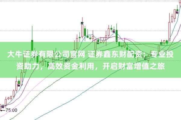 大牛证券有限公司官网 证券鑫东财配资：专业投资助力，高效资金利用，开启财富增值之旅