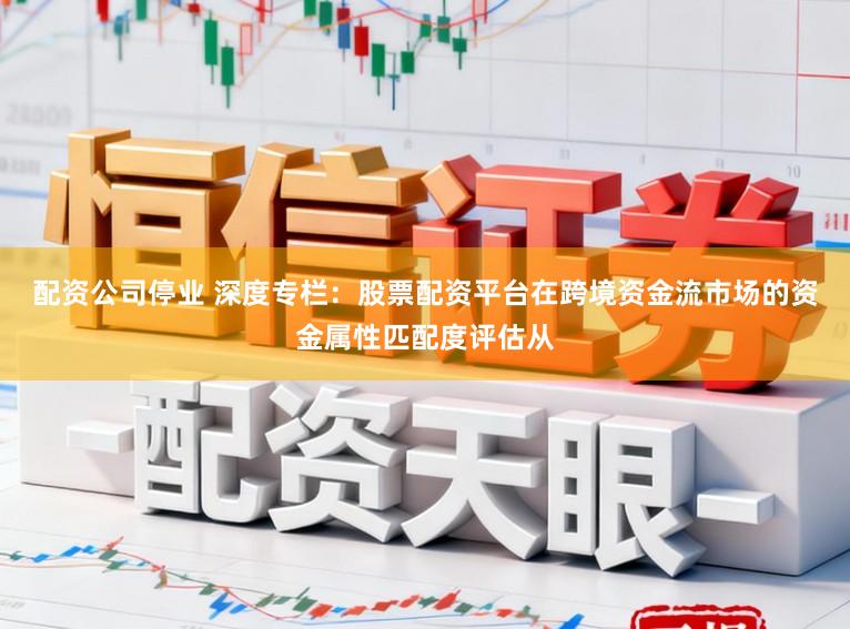 配资公司停业 深度专栏:股票配资平台在跨境资金流市场的资金属性匹配度评估从