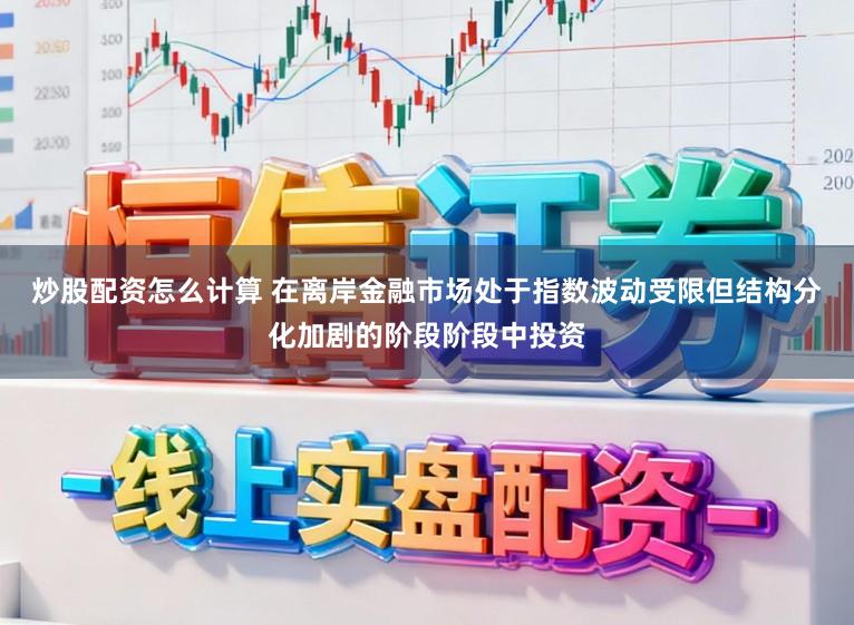 炒股配资怎么计算 在离岸金融市场处于指数波动受限但结构分化加剧的阶段阶段中投资