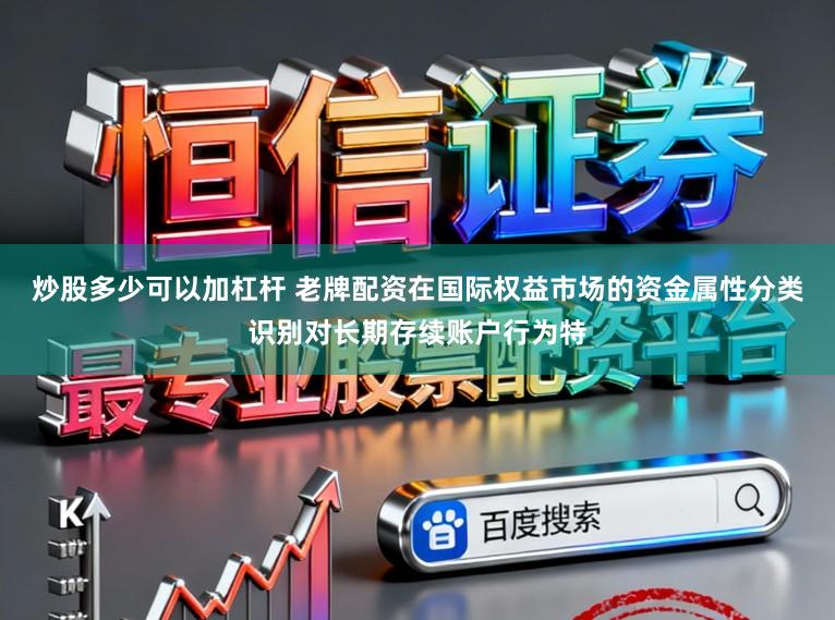 炒股多少可以加杠杆 老牌配资在国际权益市场的资金属性分类识别对长期存续账户行为特