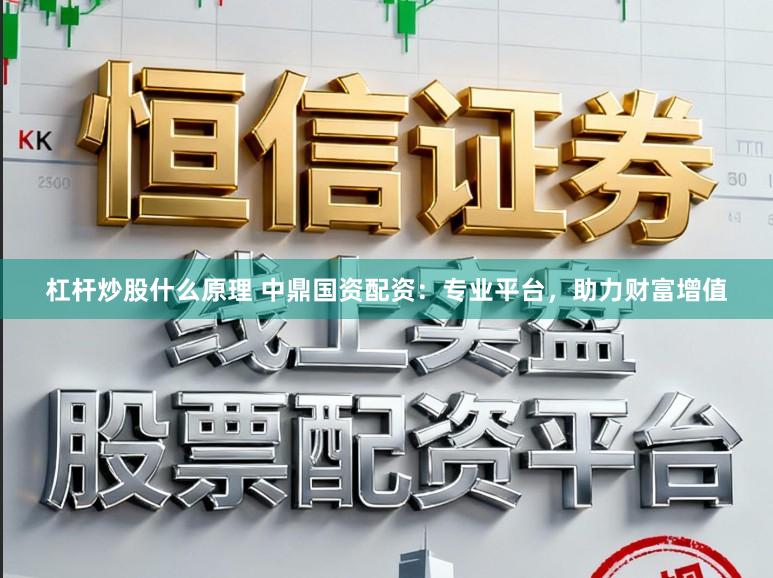 杠杆炒股什么原理 中鼎国资配资：专业平台，助力财富增值
